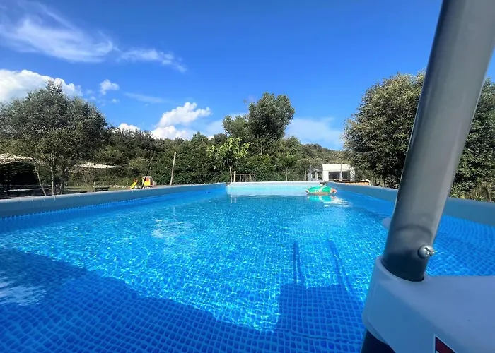 Le Tipi De Mercone *